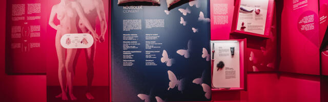 Tervisemuuseum uuendas ajale jalgu jäänud seksuaalsuse teematuba