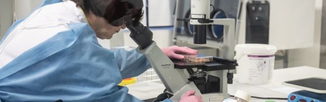 GRAAFIK | Ööpäevaga ei lisandunud ühtegi positiivset koroonaviiruse testi