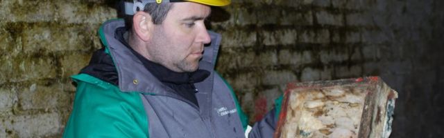 TEADUSELU | Leho Tedersoo: kuidas jõuda teaduse tippu?