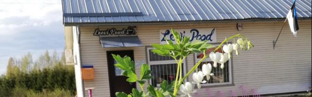 Kõrge elektrihind sunnib külapoode sulgema