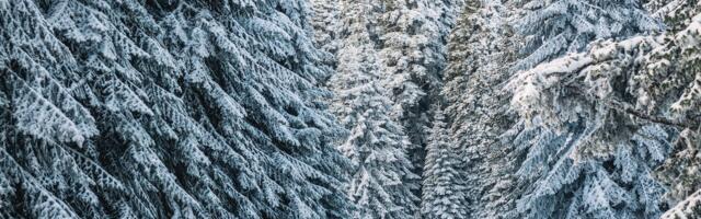 Transpordiamet: Kesk-Eestist alanud intensiivne lumesadu jätkub