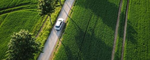 Riik pakub põllumeestele niitmiseks maid