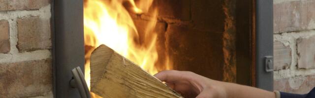 Saun vajab ümberkäimisel tarkust ja hellust