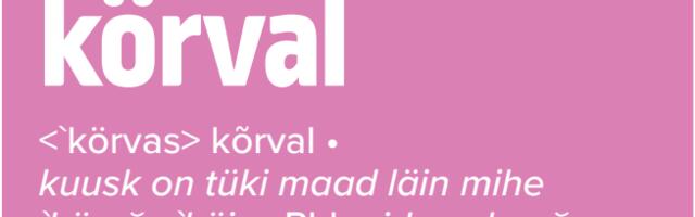 JUHTKIRI | November, tüllkardina taga