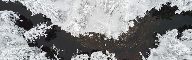 Milline tuleb jõuluilm sellel aastal?