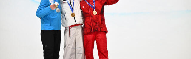 Küsitlusele vastajad: jätke Sildarud rahule ja tundke rõõmu!