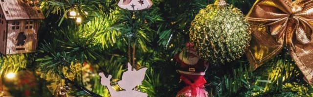 Ainult julgetele! Kas kaunistaksid oma jõulupuud nende siivutute kuulikestega?