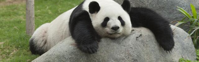 7. märts: Vähk haaraku härjal sarvist, Skorpionil on põhjust poeskäimist vältida