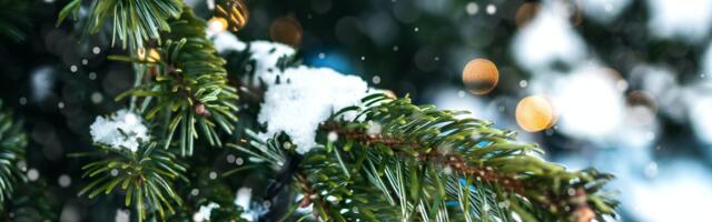 Keskkonnaagentuur: Pühade ajaks muutub ilm külmemaks ning lisandub lund