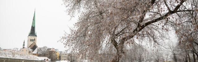 Kolmapäeval on taevas pilvine ja võib sadada lund