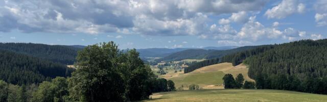 Saksamaal Mustas metsas, Titisee järve ääres …