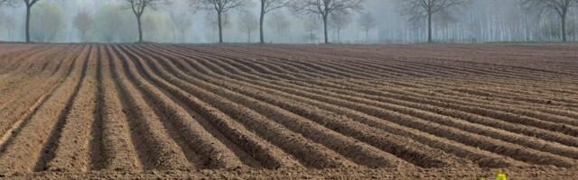 Mullaseire direktiiv aitab tagada toidujulgeoleku ja puhta vee