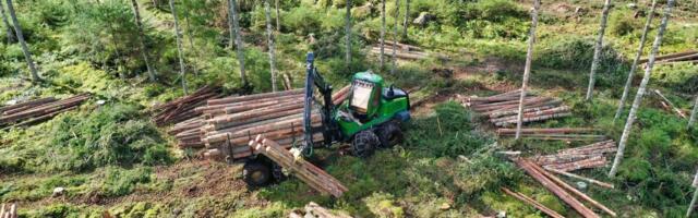 Mullune raiemaht jäi 10,6 miljoni tihumeetri juurde