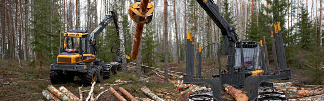 Iriscorp – Eesti metsanduse suunanäitaja