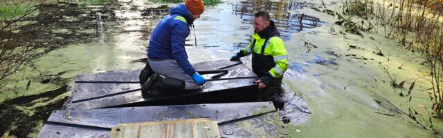 Pääsküla rappa rajatakse ujukitel laudtee