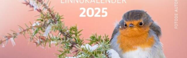 Ühing andis välja haapsallase kalendri