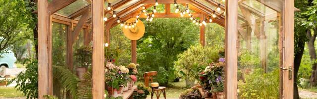 ÕPETUS | Iga taimehull vajab endale unistuste kasvuhoonet