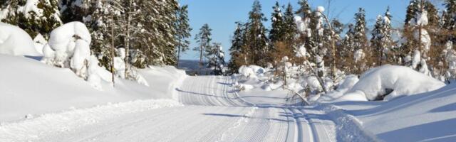 Tallinnas valmis mitu uut suusarada