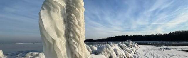 Eva Link NÄDALA FOTO