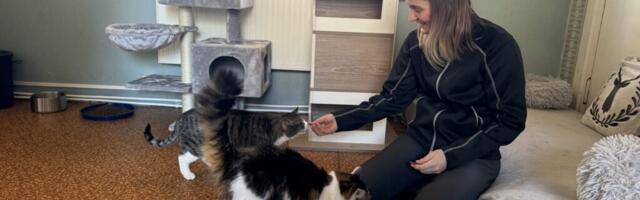 KOLIMINE LÕPUSIRGEL | Koduta loomadele varjupaiga leidmine õnnestus alles kolmandal katsel