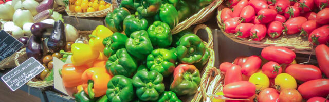 TURUL KÄIMINE toob parema päeva: teeme selgeks miks?