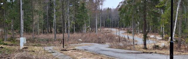 KOMMENTAARIDETA: Tammelaane DP 24. märtsil 2024