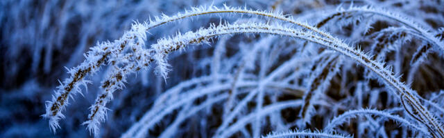 Eesti Ekspress: naabrite ärksus päästis kaheaastase Viimsi põnni surnuks külmumisest