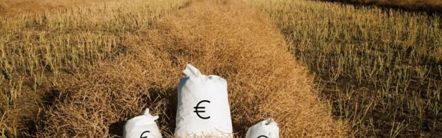 Euroopa Liidu asjade komisjon: otsetoetused peavad olema võrdsed