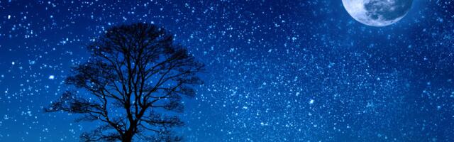 Kas oled üksildane hunt? Nii käituvad inimesed, kes tunnevad end kõige paremini üksi.