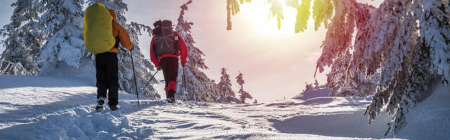 Need ootamatud abilised päästavad talvise matka