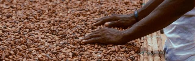 Kakao hind on vabalanguses