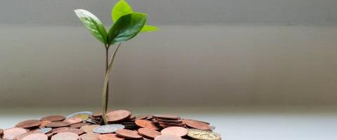 Pensionireformi uus pööre: paindlikkus kasvab, kuid riskid ja piirangud jäävad