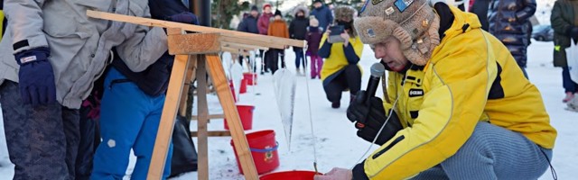 KÜLMALINNA TALVETRALLIL KASVATATI PURIKAID