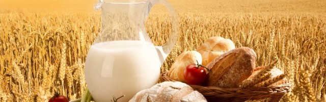 Ajatu: Kaks populaarset toiduainet, mis võivad nõrgestada immuunsüsteemi