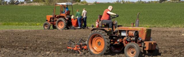 Vastne kartulite sordivõrdluskatse andis üllatavad tulemused