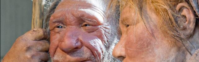 Ürgaeg soosis eeskätt meesneandertallaste ja naisinimeste ühte heitmist