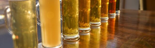 Alkoholitarbimise vähenemine terviseriske ja kulusid ei mõjutanud