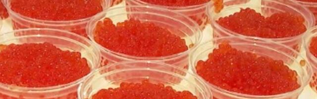 Habarovski krai ministeerium teatas, et Witkoffiga saadeti Trumpile kast kalamarja