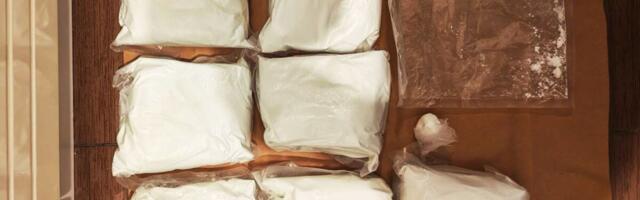 PAO DILER IZ NOVOG SADA! Policija zaplenila 7 kilograma amfetamina (foto)