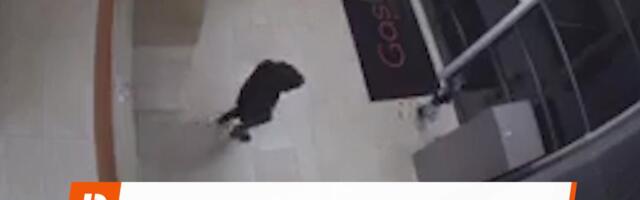 Reporter: Politsei pidas kinni Viljandi ahistaja