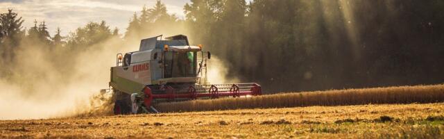 Ettevaatust, viljakoristus toob põllutehnika teedele