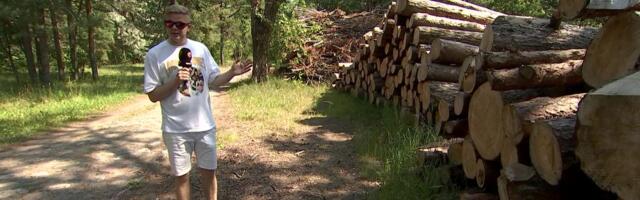 Linnaelanikud tõmbasid «sae käima» ja andsid asja kohtusse!