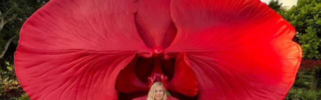 JOOGAÕPETAJA Kristiina Viires: rahulolu alustalaks on hea ühendus iseendaga