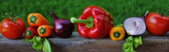 Katkend raamatust “Toida oma tervist”: suguhormoonide tasakaalutus ja östrogeeni domineerimine