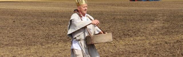 Viljasaak tänavu rekordeid ei paku