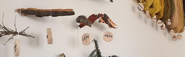 Võrus on avatud käsitöönäitus taimedega värvitud lõngadest