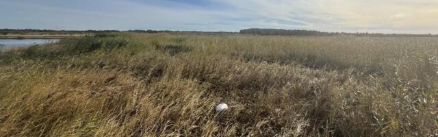 Pärnumaalt leiti drooni tükk