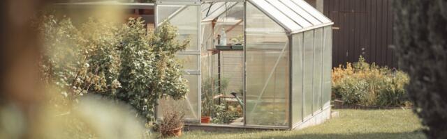 Triinu Orm: Kas garaaž, kasvuhoone ja kuur vajavad ehitusluba?