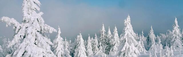 Päevahoroskoop : reede, 16. jaanuar