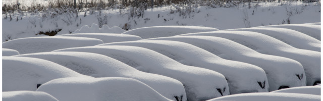 Fotolugu: lai valik mudeleid ja värvitoone!